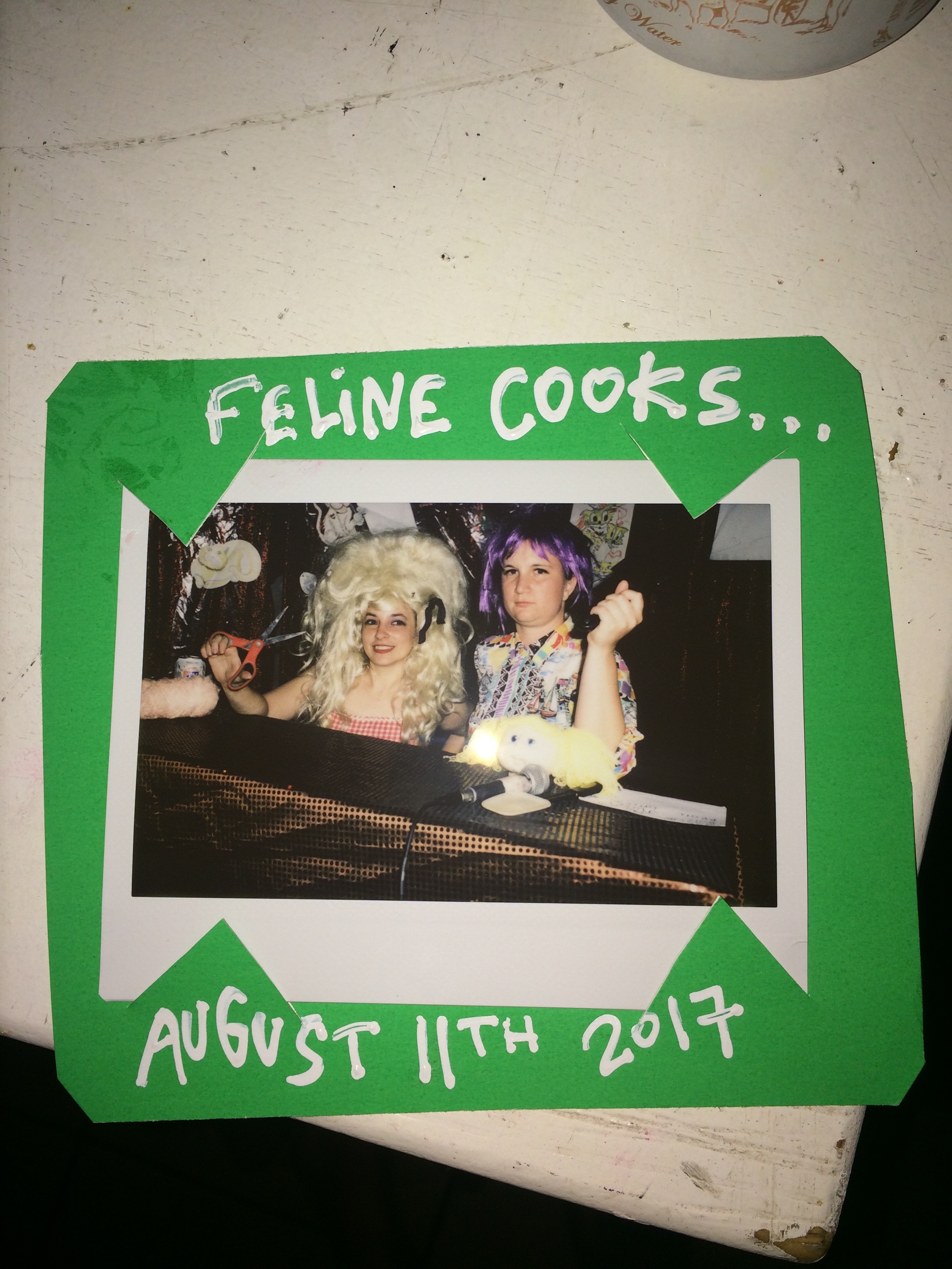 picture of feline cooks performance